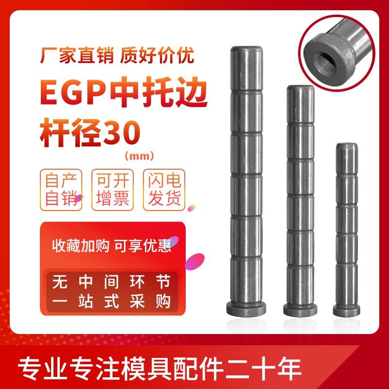 标准模架精密导柱导套模具配件直司托司EGP中托边导柱杆径30