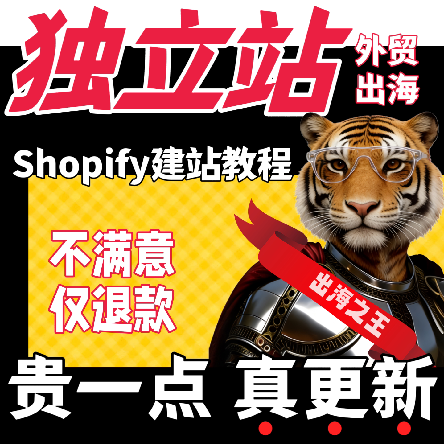 外贸独立站视频教程 Shopify自建站开店运营课程小白电子资料学习