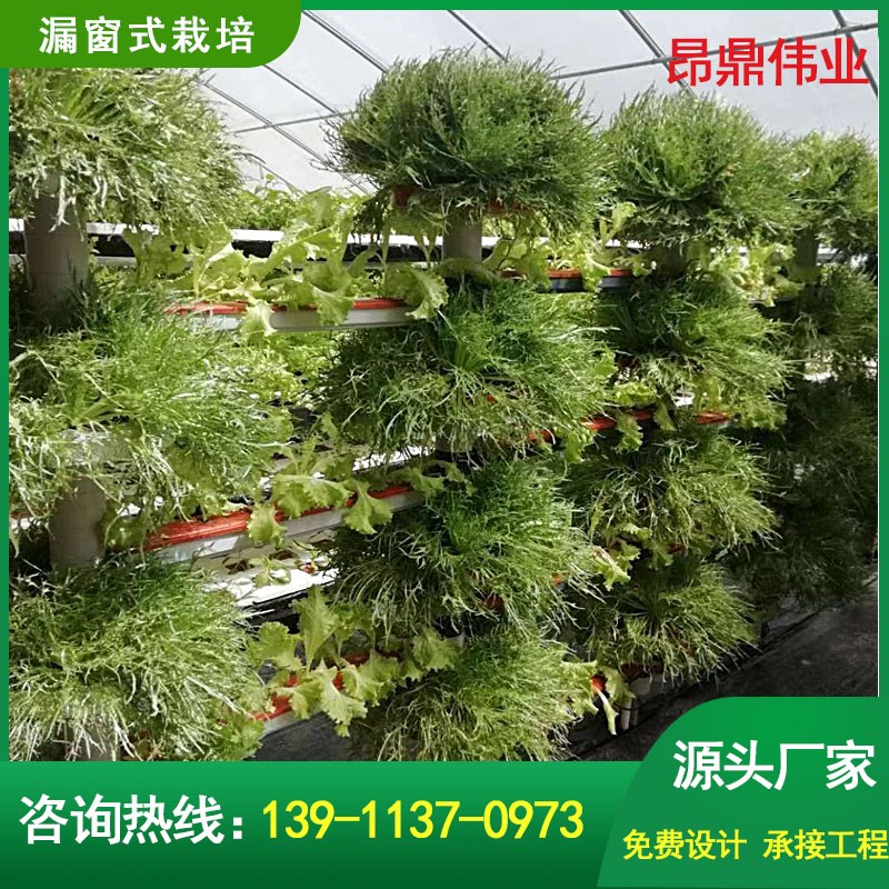 漏窗栽培立体栽培蔬菜水培种植无土栽培设备工程楼顶天台种植架
