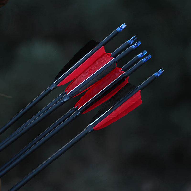 混碳真羽箭箭支 弓箭射箭器材真羽碳箭美猎反曲弓6.2内径可换箭头