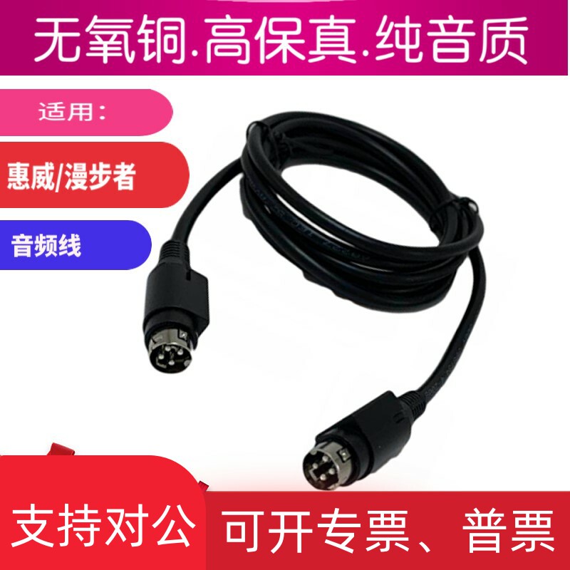 适用HiVi惠威多媒体有源音箱D1010-IV电源线主副音响连接线四针4