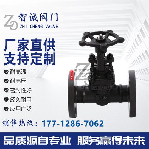 A105N 锻钢法兰闸阀 Z41H-16C-40C国标高温高压蒸汽导热油不锈钢