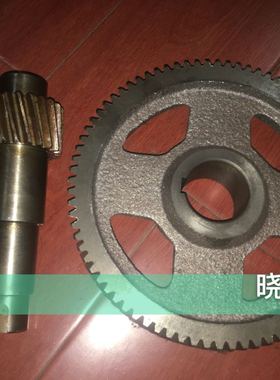 ZAX9100卷曲卷取复合齿轮斜齿轮大齿轮80齿小齿轮轴22齿