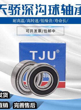 天骄高速轴承6018 6019 6020 6021 6022 6024Z ZZ 2RS 2RZ