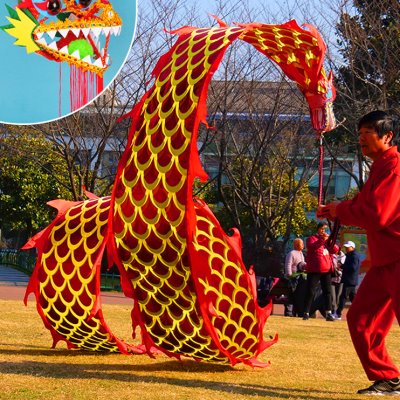 健身龙钢架带布龙头广场舞舞龙甩龙带甩彩带耍龙初学中老年人道具