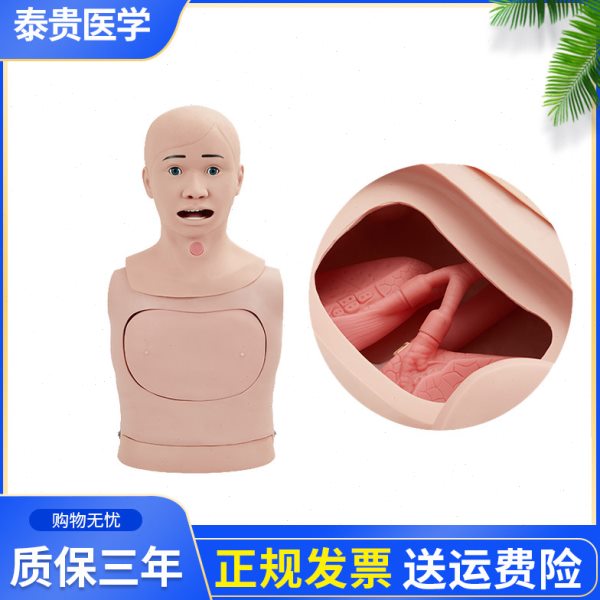 泰贵医学高级鼻胃管与气管护理模型喉管插管插胃管鼻饲穿刺模拟人