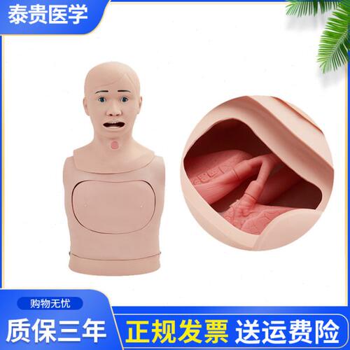 泰贵医学高级鼻胃管与气管护理模型喉管插管插胃管鼻饲穿刺模拟人