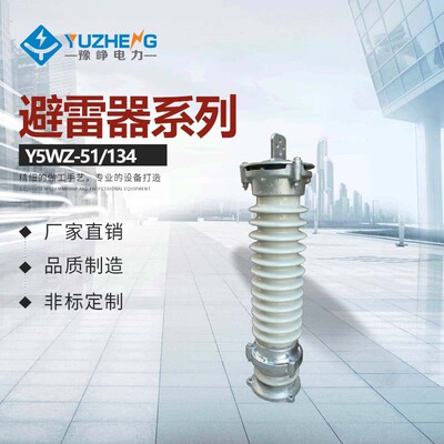 Y10WZ Y5WZ-51/134 Y5WZ-42/134 金属氧化锌避雷器 陶瓷避雷器