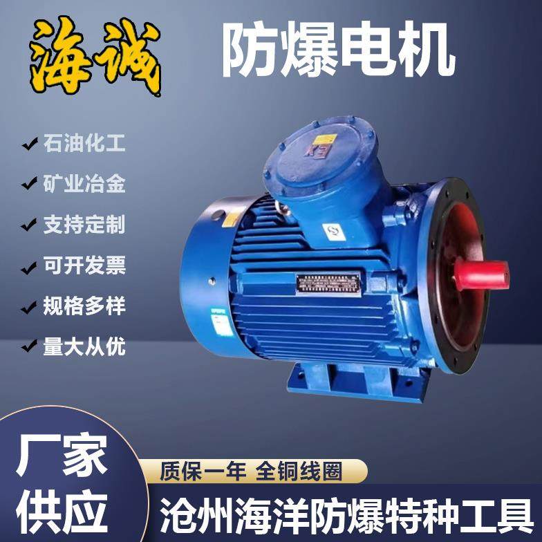 YBX3防爆电机三相异步电动机380V立式卧式铜线2/4/68级隔爆型矿用