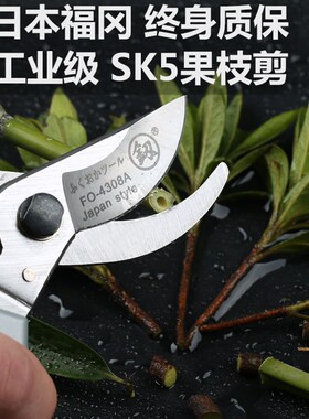 日本园林园艺果树剪刀花剪家用树剪子粗枝树枝修枝剪省力强力德国
