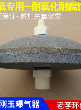 陶瓷全刚玉曝气器 微孔曝气头 养殖充氧气盘石 曝气盘 曝气器热销