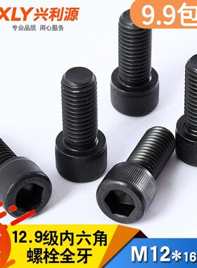 M12内六角螺栓全牙12.9级高强度内六角螺丝杯头加长M12*16170