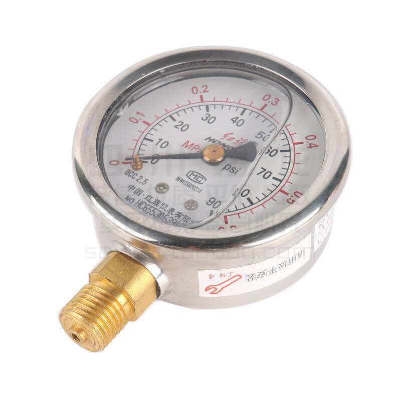 红旗仪表 耐震防震抗震压力表 YTN-60 0-1MPa充油压力表