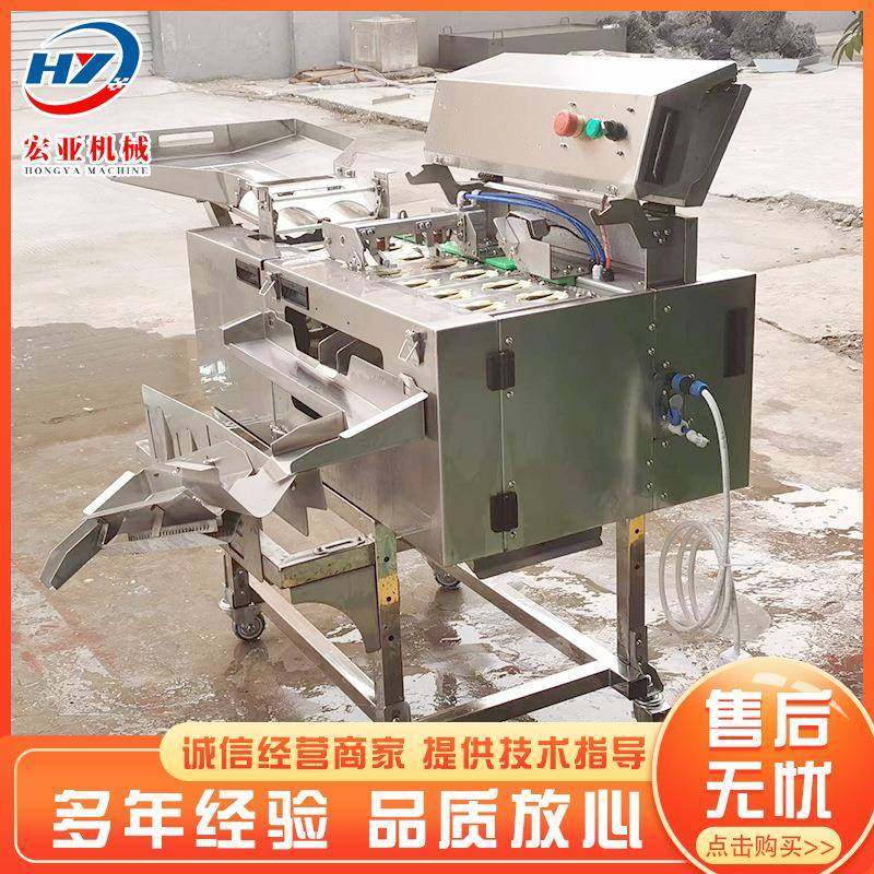 双排磕蛋去壳机供应全自动蛋壳蛋液分离机打蛋机设备厂家供应,清洗/食品/商业设备,其他食品加工设备,淘宝优惠券,粉丝福利购,淘宝优惠卷