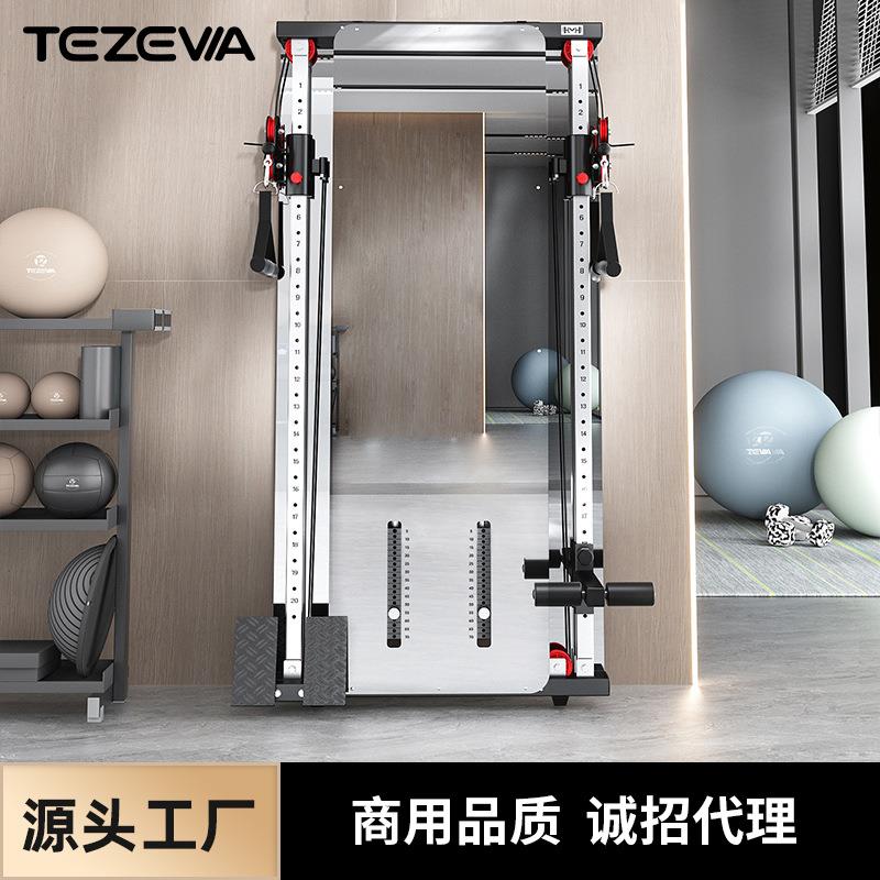 靠墙飞鸟龙门架单边贴靠墙镜面家用壁挂式小飞鸟力量综合训练器