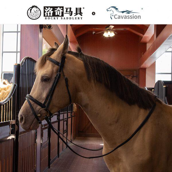 cavassion标准牛皮水勒缰 缰绳骑马马术运动洛奇马具8218103