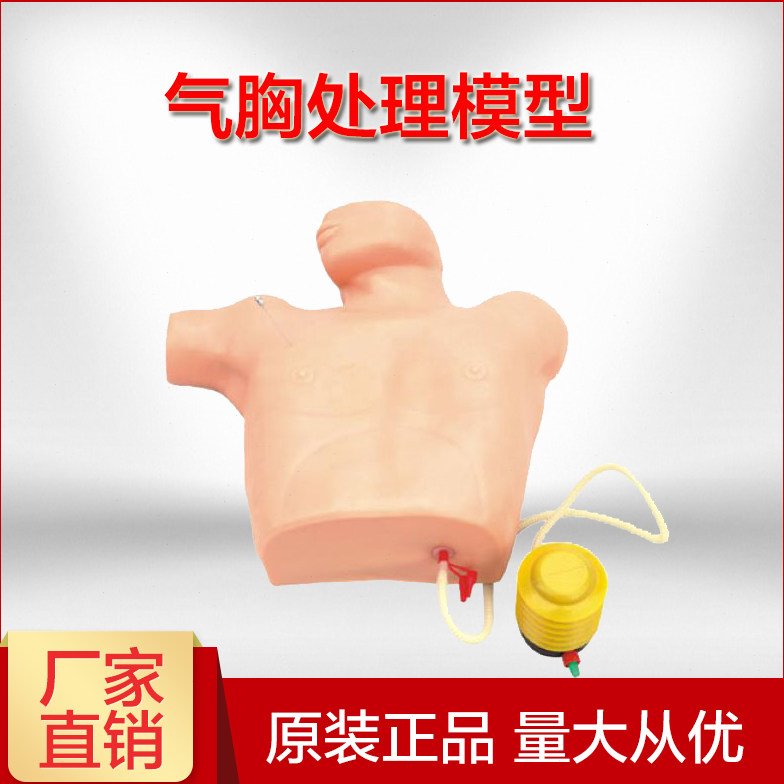 气胸处理模型气胸减压训练模拟人医学培训模型教学穿刺实训模拟人