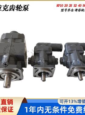 KRACHT齿轮油泵KF10/25/40/63/80/100/RF2-D15高压润滑油泵