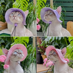 可爱露耳朵猫咪狗狗帽子夏季宠物防晒遮阳帽德文无毛猫小狗渔夫帽