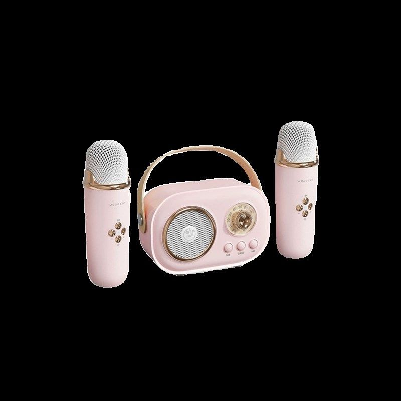 便携式K歌无线蓝牙音响C20一体机家庭麦克风户外ktv唱歌音箱