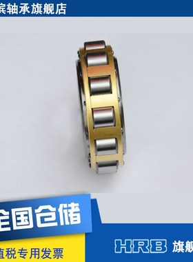 新 307 M 摆线针减速 5A02307哈尔滨轴承偏心套圆柱滚