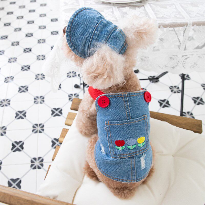 牛仔背带裙子短绒春秋冬款泰迪比熊小狗狗猫咪宠物衣服小型犬幼犬