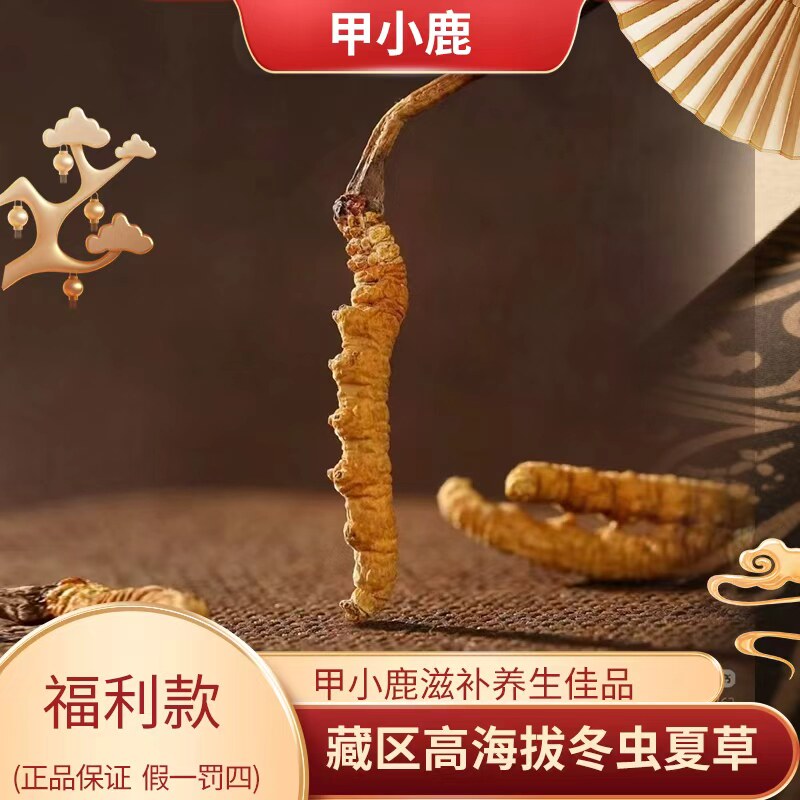 甲小鹿【福利草】青海高海拔虫草正宗冬虫夏草