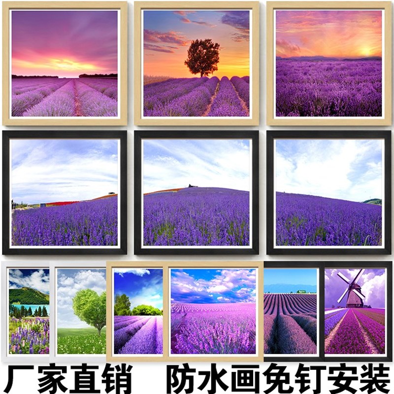 紫色薰衣草客简约现代欧式客餐厅卧室酒店浴室卫生间防水装饰挂画图片