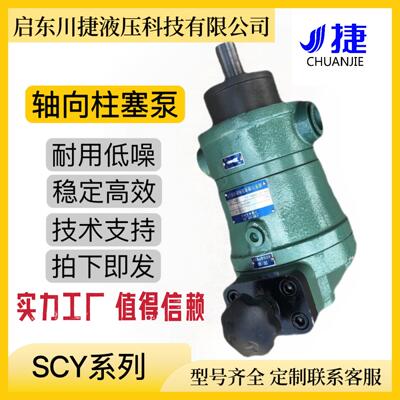 长期供应160YCY14-1B高压柱塞泵优质轴向柱塞泵高效率折弯机泵