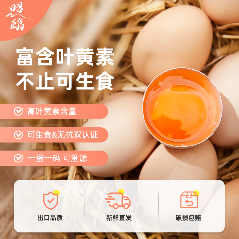 照临叶黄素可生食鲜鸡蛋30枚