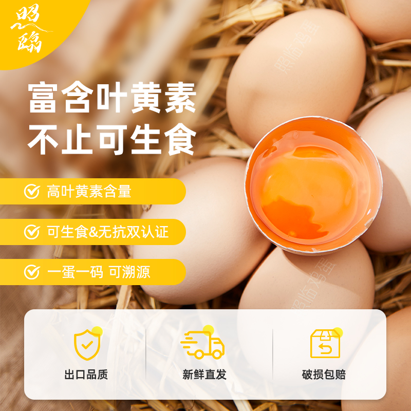 照临叶黄素可生食鲜鸡蛋6枚