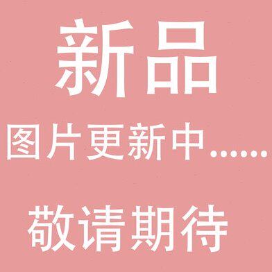 亚德客型无杠气缸 RMH10X425S RMH10X450S RMH10X475S RMH10X500S