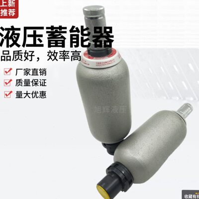 储能器 NXQA-0.4/10 0.63/10 1/10 1.6/10 2.5/10-L-Y 囊式蓄能器