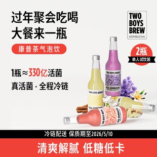 TBB精酿康普茶调味饮品苏打气泡水碳酸饮料330ml*2瓶 26年5月到期