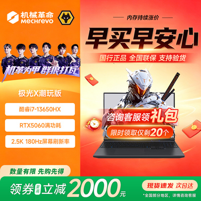 机械革命极光X游戏本电脑