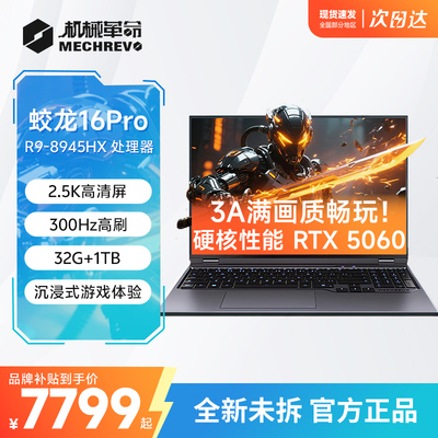 蛟龙16ProR9-8945HXRTX5060
