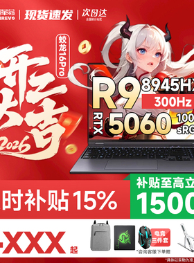 机械革命蛟龙16Pro极光X潮玩版RTX5060/5070Ti独显游戏笔记本电脑