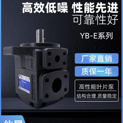 YLC仙居永灵叶片泵YB-E16/E25/E32/E40/E50/E63/E80/E100E125油泵