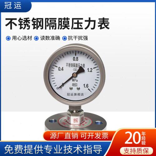 法兰隔膜压力表YTP100BF/MF DN25 DN40 DN50不锈钢耐震膜片压力表