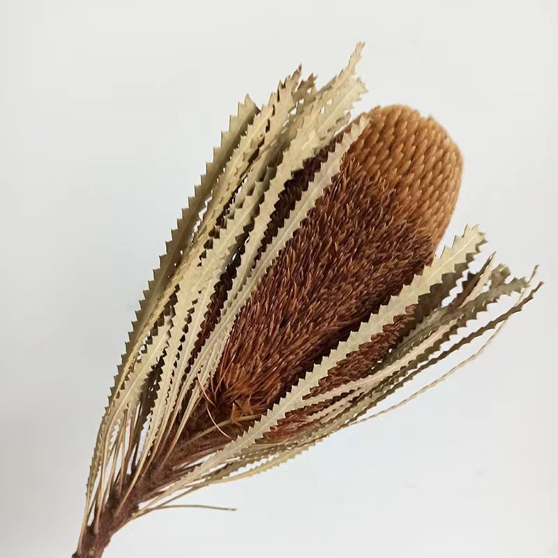 现代简约轻奢样板房售楼处茶几组合摆件花器花艺客厅几何软装饰品