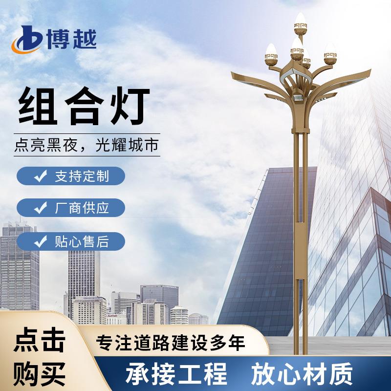 市政道路建设玉兰花灯商业街到亮化景观灯厂家供应组合杆