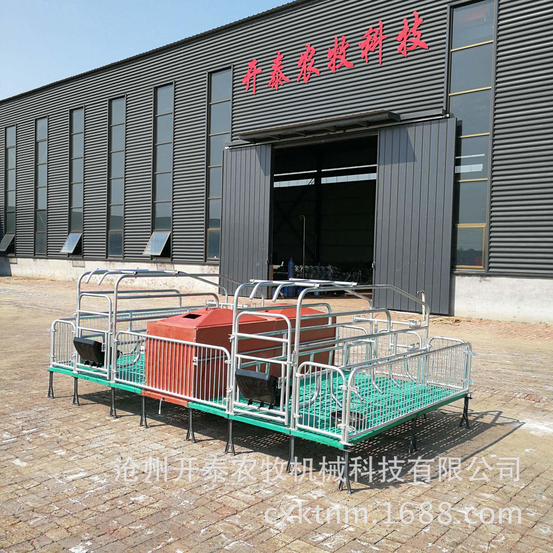 母猪产床欧式复合板养殖BMC母猪分娩床现货双体连体母猪产床