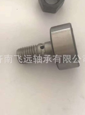 滚轮轴承CFS2F CFS2.5F CFS3F CFS4F 不锈钢滚针轴承