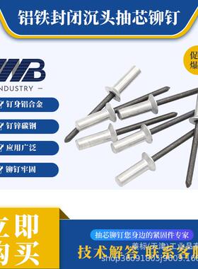 铝铁封闭型沉头抽芯拉铆钉3/3.2/4/4.8/5防水钉埋头钉GB12616.1