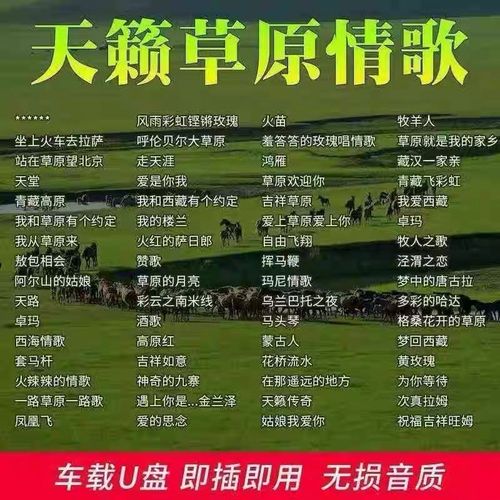 经典草原歌曲车载手机音乐U盘高原情歌mp3藏歌无损高品质视频mp4