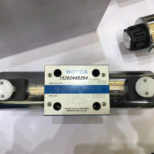 2B2 2B3 原装 Z5L 台湾HOYEA电磁阀FW D24