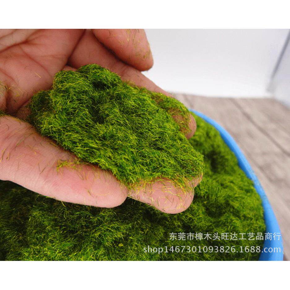 盆景植物铺面假山专用仿真青苔粉苔藓人造绿色毛粉植毛粉泥龙粉草