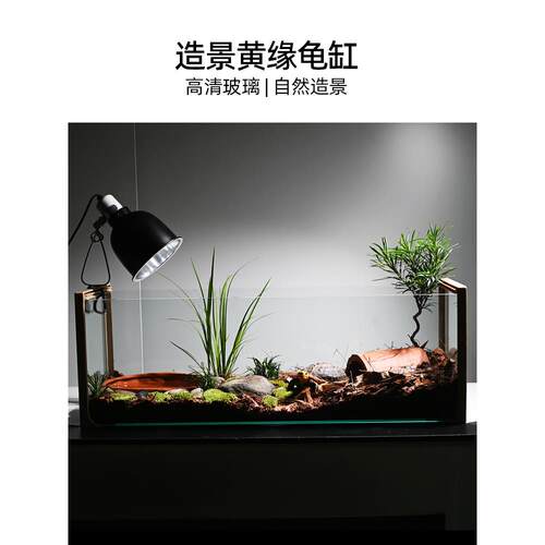 黄园龟专用养殖箱龟生态园林屋水陆箱安源台缘半水生龟养殖箱