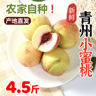 五叔家青州蜜桃4.5斤果子