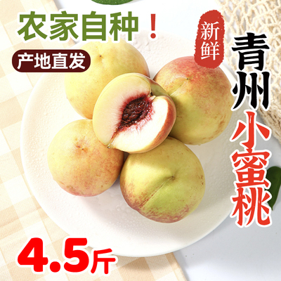 五叔家 青州小蜜桃4.5斤小果 脆甜爽口产地直发